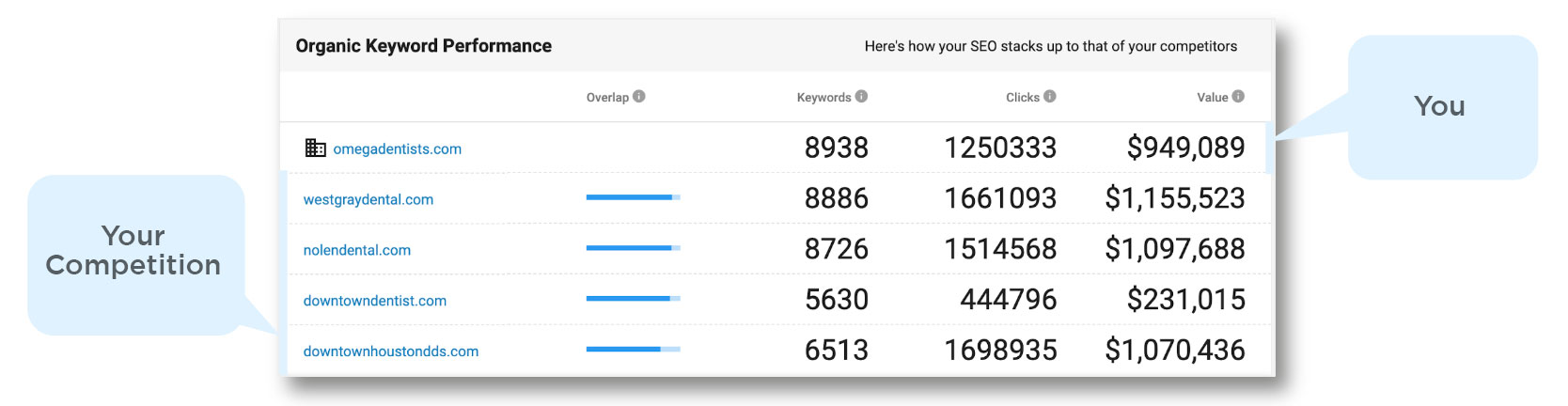 Organic Keyword Performance