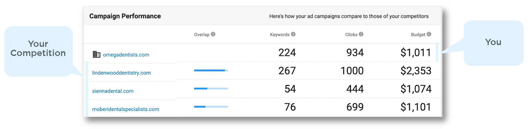 PPC Campaign Performance Review