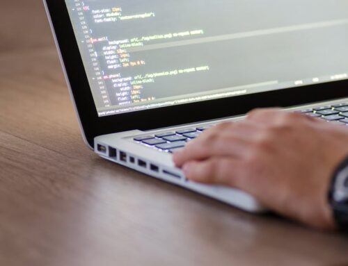 Web Development Services Explained (Without the Tech Jargon!)